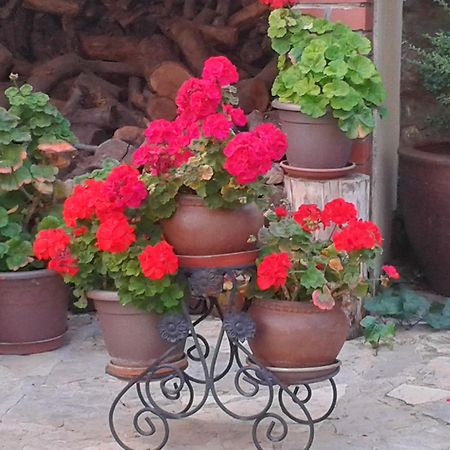 La Posada De Clotilde Cella Bagian luar foto